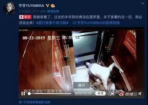 网红家暴事件爆料视频,视频揭露惊人真相,网友热议道德沦丧 第1张 网红家暴事件爆料视频,视频揭露惊人真相,网友热议道德沦丧 第1张